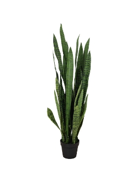 Picture of 52 Inch Artificial Sansevieria Plant