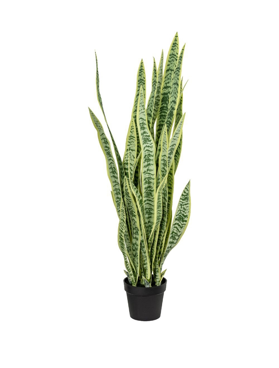 Picture of 52 Inch Artificial Sansevieria Plant