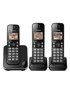 Picture of Digital Wireless Telephone System