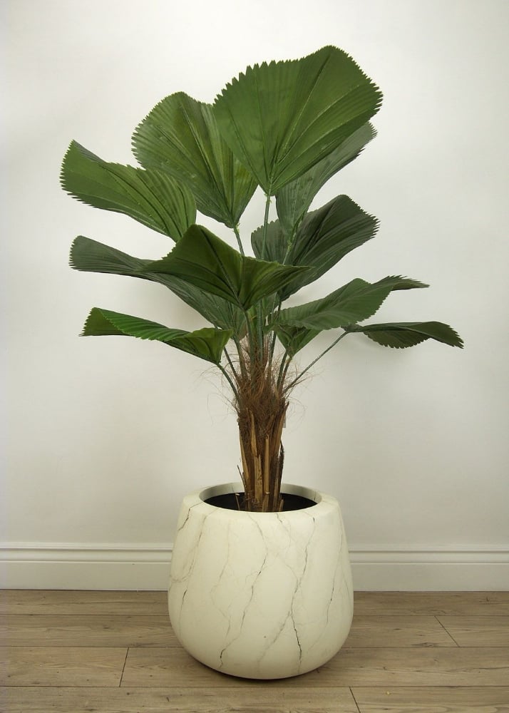 Picture of 54 Inch Artificial Licuala Grandis Plant