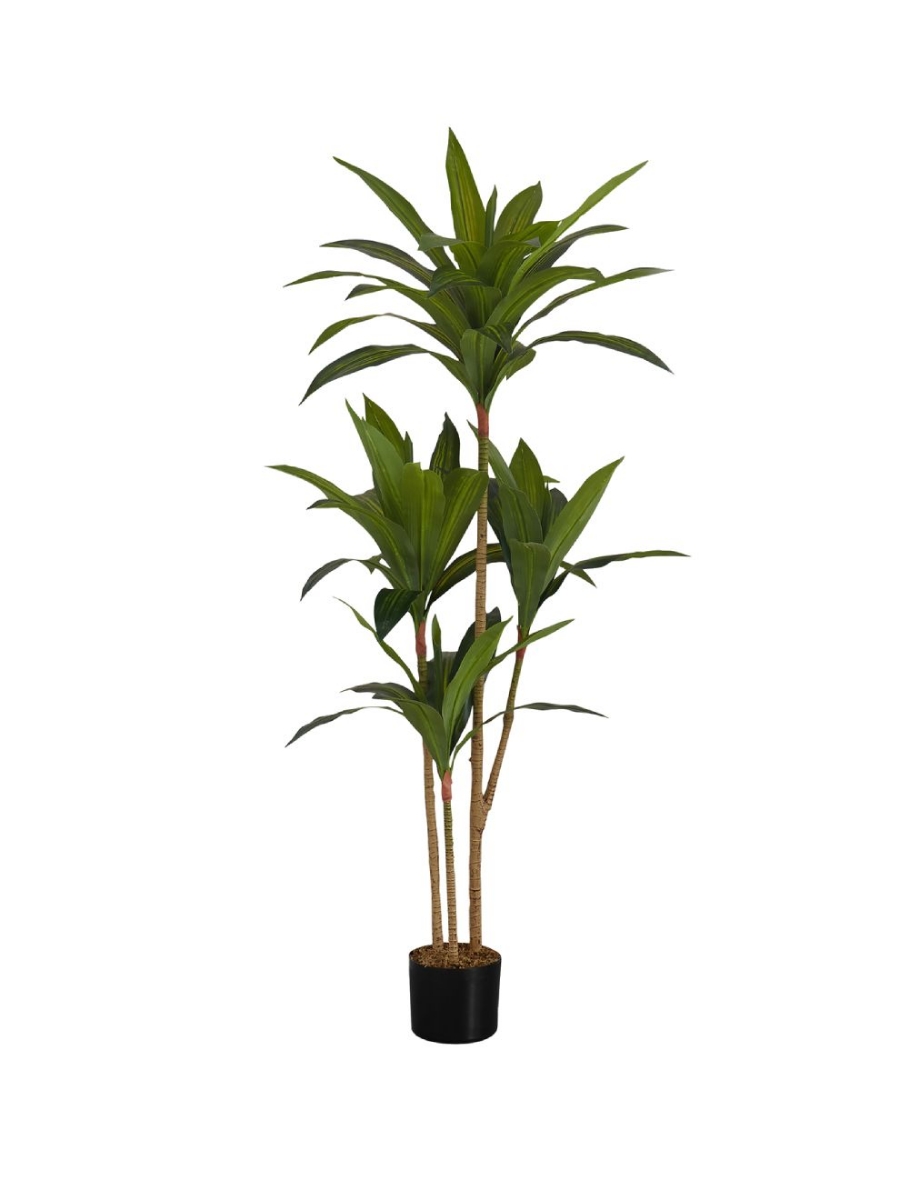 Picture of 51 Inch Artificial Dracaena Plant