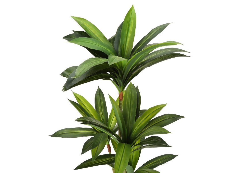 Picture of 51 Inch Artificial Dracaena Plant