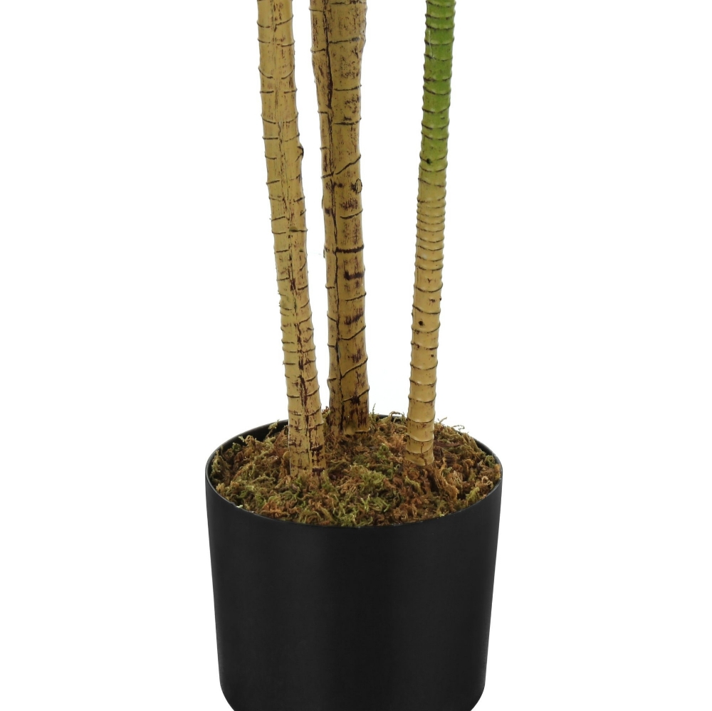 Picture of 51 Inch Artificial Dracaena Plant