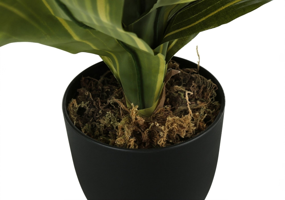 Picture of 17 Inch Artificial Dracaena Plant