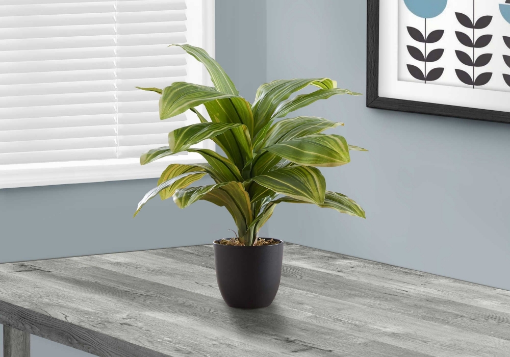 Picture of 17 Inch Artificial Dracaena Plant