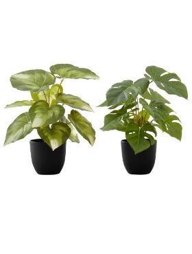 Picture of 13 Inch Set of 2 Artificial Plants