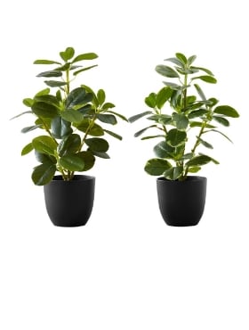 Picture of 14 Inch Set of 2 Artificial Plants