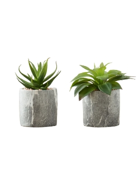 Picture of 7 Inch Set of 2 Artificial Plants