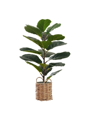 Picture of 28 Inch Artificial Fig Tree