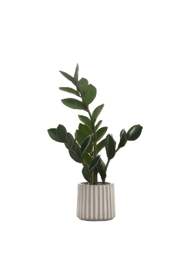 Picture of 20 Inch Artificial Zamioculcas Zamiifolia Plant