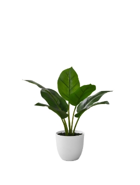 Picture of 17 Inch Artificial Aureum Plant