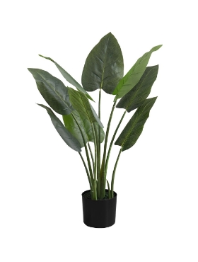 Picture of 37 Inch Artificial Aureum Plant