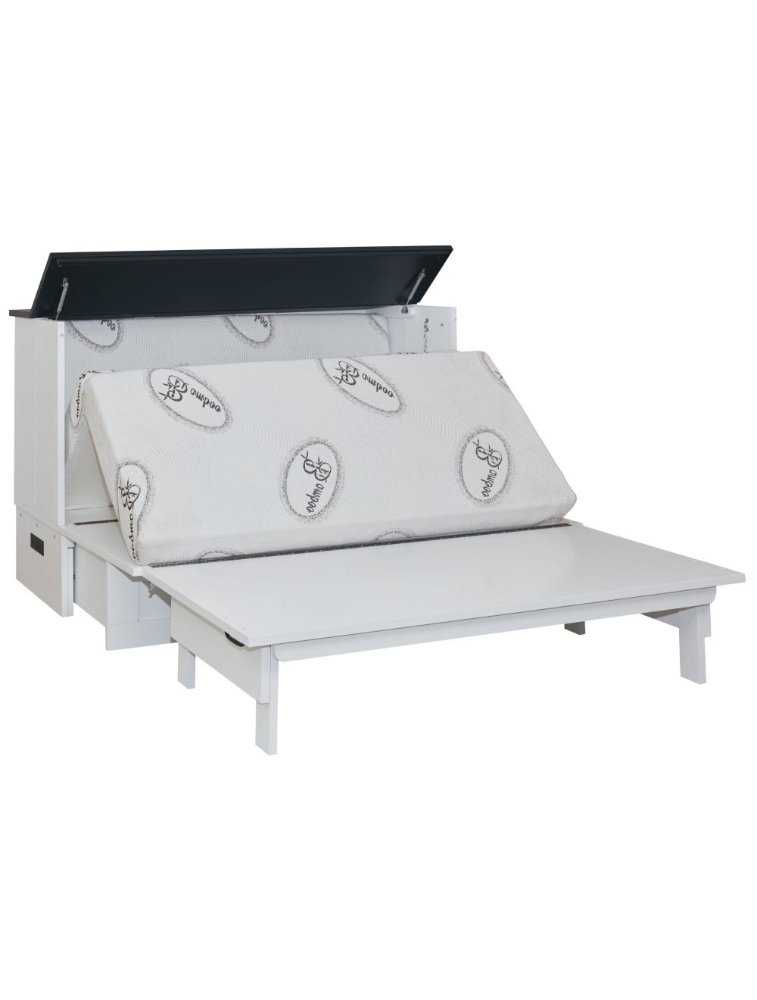 Lit escamotable Barn 60 po - Série Elite - ET7-BRN-WHT-Q - Cabinet Bed