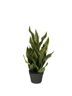 Plante Sanseveria artificielle 11 x 26 po. Bovi Home 1780611