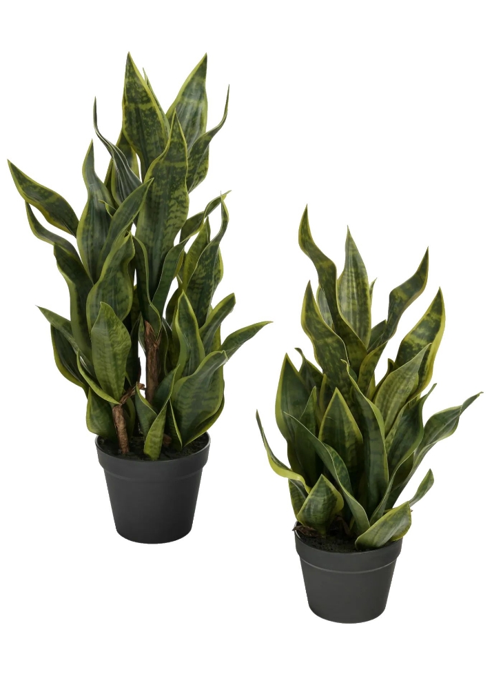 Plante Sanseveria artificielle 11 x 26 po. Bovi Home 1780611