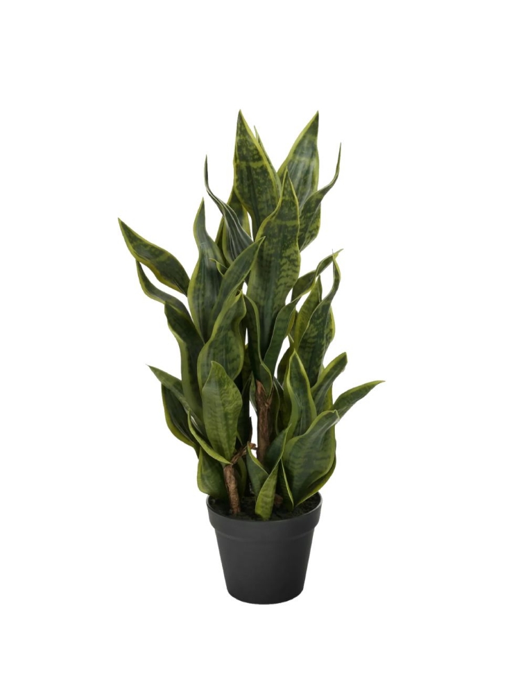 Plante Sanseveria artificielle 12 x 32 po. Bovi Home 1780612