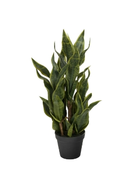 Plante Sanseveria artificielle 12 x 32 po. Bovi Home 1780612